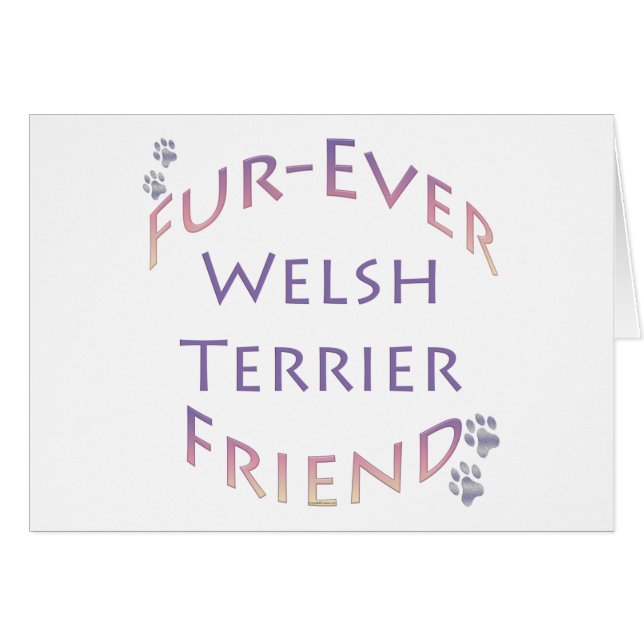 Gales Terrier Furever Amigo (Anverso (Horizontal))