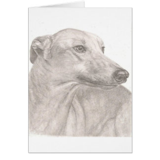 Galgo