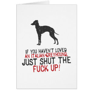 Galgo italiano