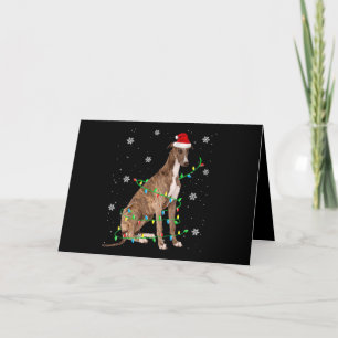 galgo luces de navidad adorable santa galgo