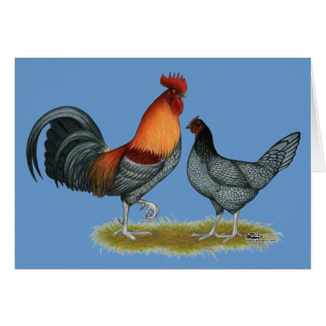 Gallina azul de Delaware (Anverso (Horizontal))