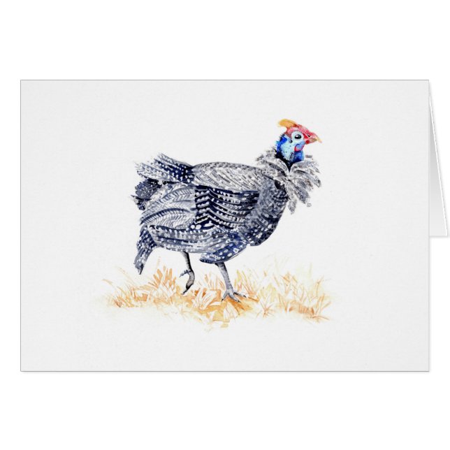 Gallina de Guinea (Anverso (Horizontal))