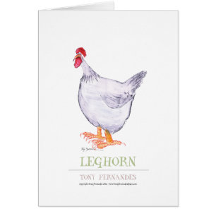GALLINA de LEGHORN, fernandes tony