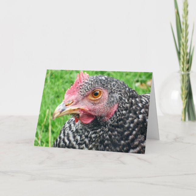 Gallina gris escocesa - tarjeta de felicitación de (Anverso)