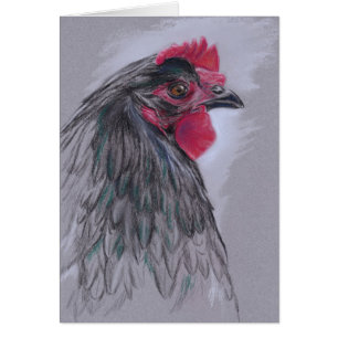 Gallina negra de Australorp