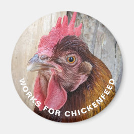 Gallina Roja Trabaja por Comida para Gallinas Imán