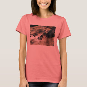 Gallina y camisa de los polluelos del bebé