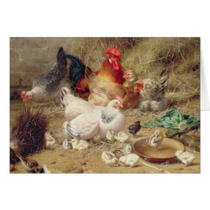 Gallinas roosting con sus pollos