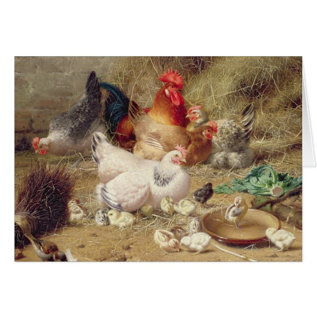 Gallinas roosting con sus pollos (Anverso (Horizontal))