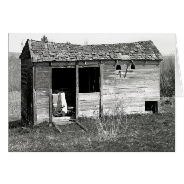 Gallinero de pollo (Anverso (Horizontal))