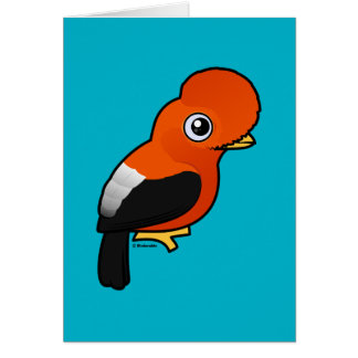 Gallo-de--rock andino