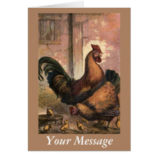 Gallo, gallina de Brown y polluelos rojos del bebé
