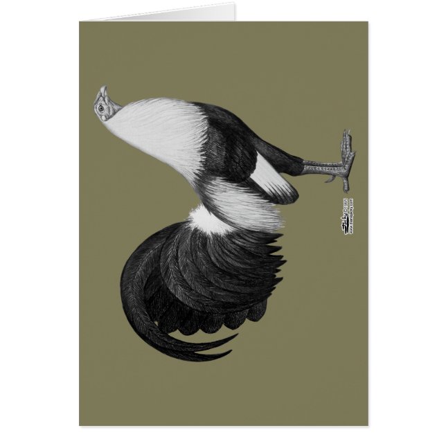 Gallo Gris Duckwing (Frente)