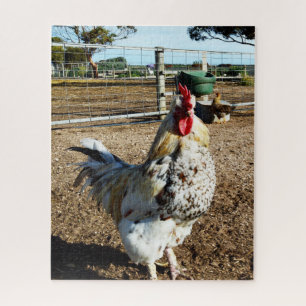 Gallo Pío En La Granja, Rompecabezas