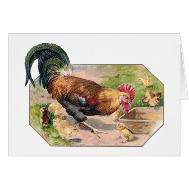 Gallo y polluelos (Anverso (Horizontal))