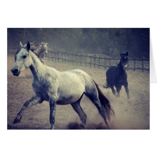 Gallop (Anverso (Horizontal))