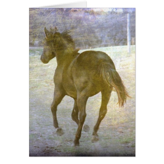 Gallop Away (Frente)