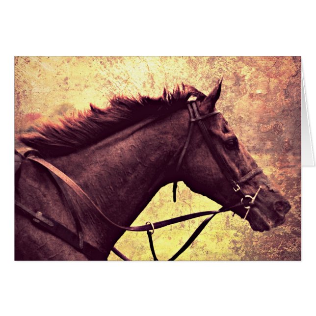 Gallop Grunge (Anverso (Horizontal))
