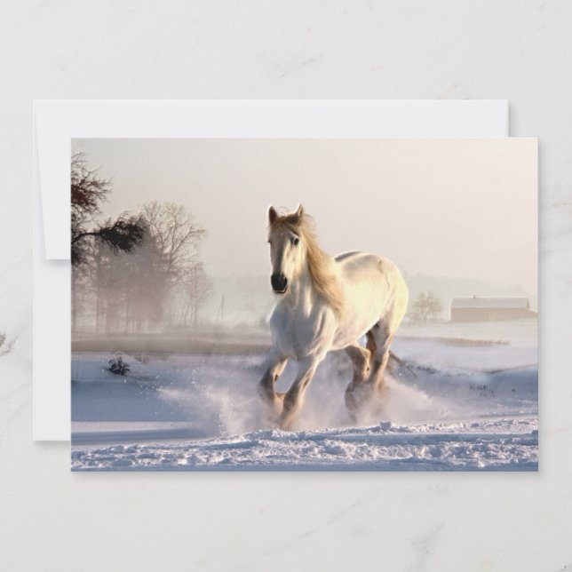 Gallopaje de caballos blancos a través de la nieve (Anverso)