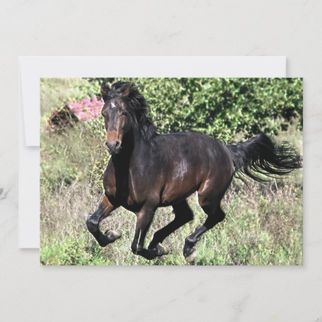 Galloping Chestnut Horse (Anverso)