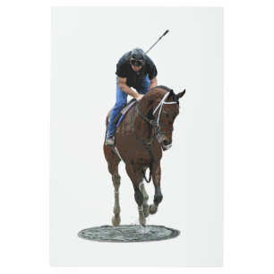 Galopando A Caballo Y Jinete Arte Metalizado
