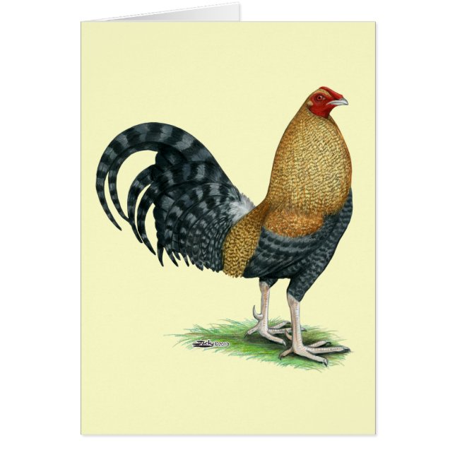 Gamecock: Dom o Crela (Frente)