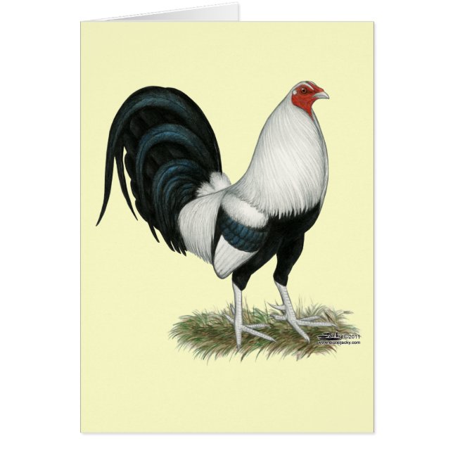 Gamecock plateado (Frente)