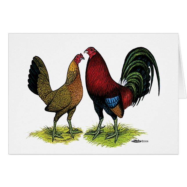 Gamefowl Pair (Anverso (Horizontal))