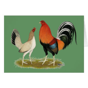 Gamefowl Wheatens