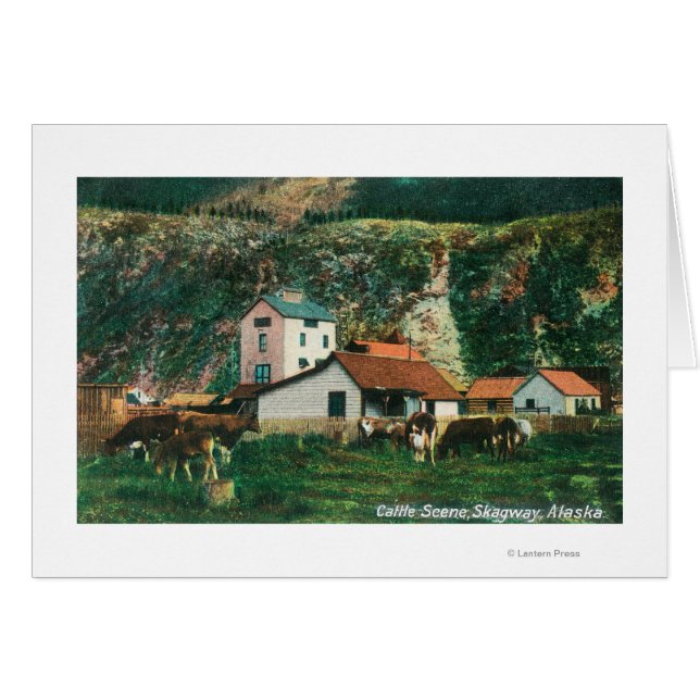 Ganado bovino entre graneros EscenarioSkagway, AK (Anverso (Horizontal))