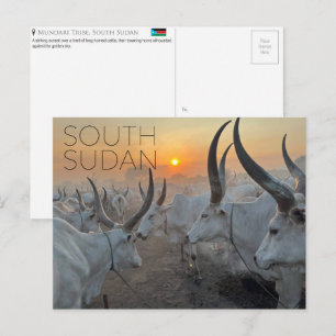 Ganado Mundari, Postal de viaje de Sudán del Sur