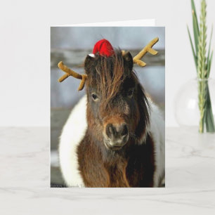 Ganador del lugar de la foto de la tarjeta de