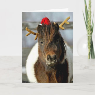 Ganador del lugar de la foto de la tarjeta de