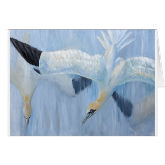 Gannets buceando regalos únicos para ti