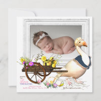 Ganso con la invitación del nacimiento de la foto