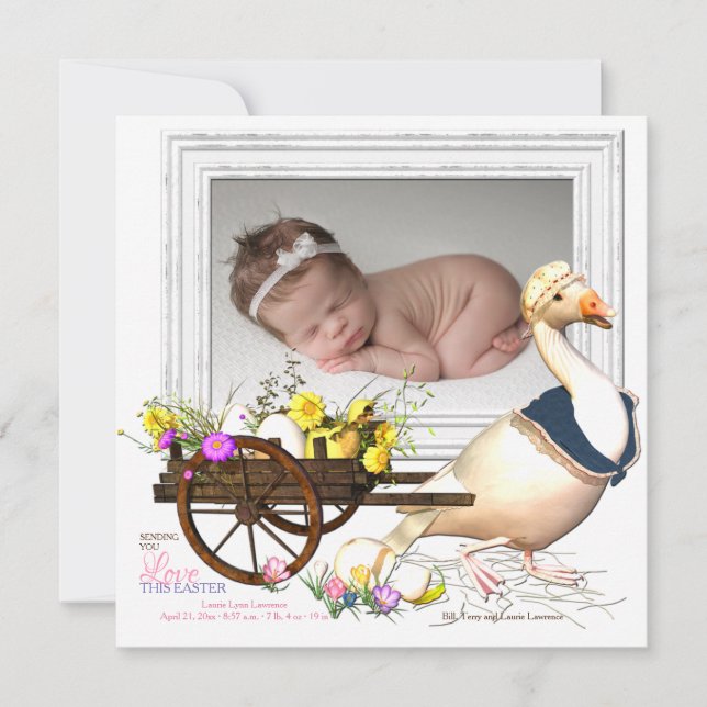 Ganso con la invitación del nacimiento de la foto (Anverso)