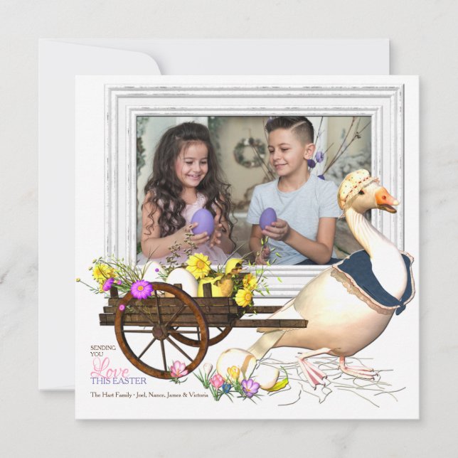 Ganso con la tarjeta de pascua de la foto de los (Anverso)