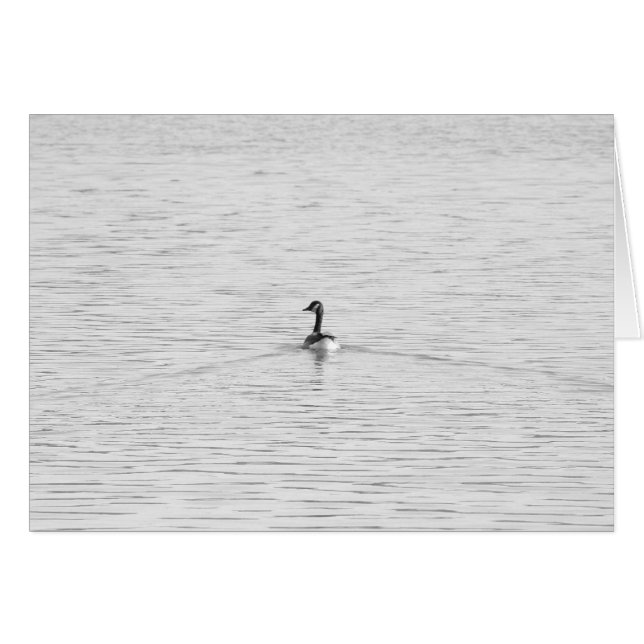 Ganso de la natación (Anverso (Horizontal))