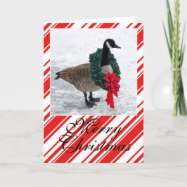 Ganso del navidad con la guirnalda