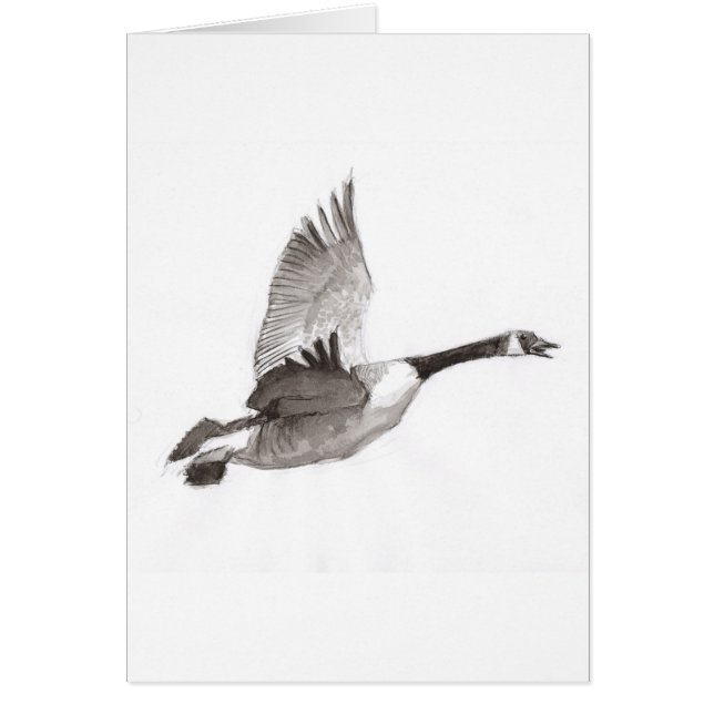 Ganso que dibuja en vuelo (Frente)