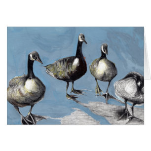 Gansos amistosos 2012 de Canadá