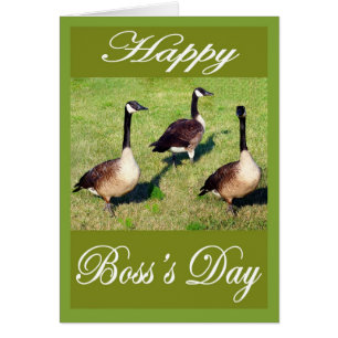 gansos del día del jefe