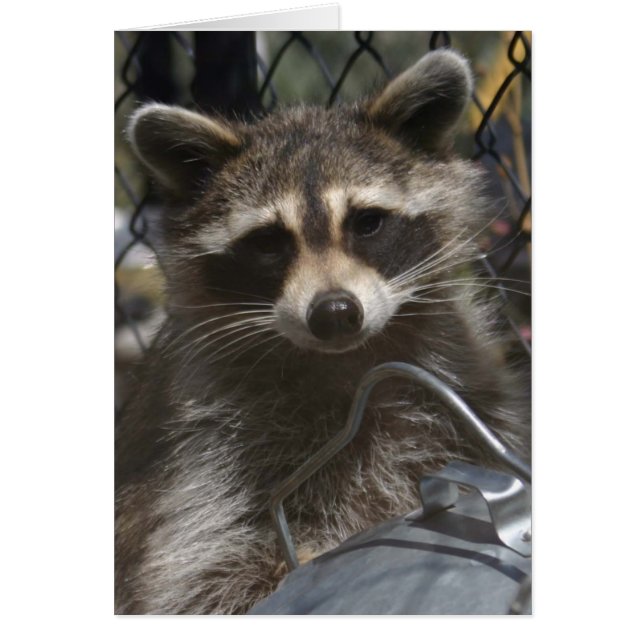 garabatos 759 (Frente)