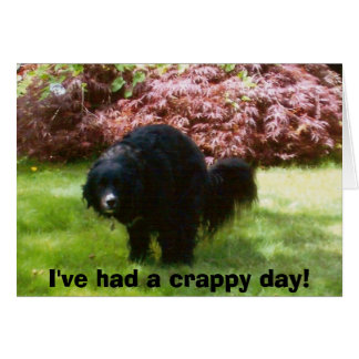 garabatos, he tenido un día de mierda!