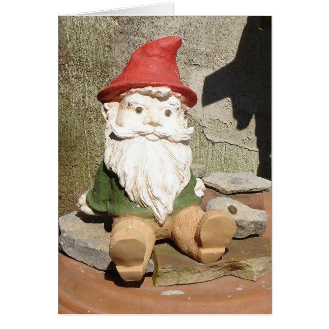Garden Gnome (Frente)