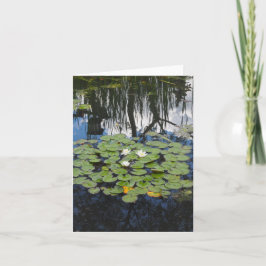 Garden Park Reflecting Lilies Tarjeta de felicitac