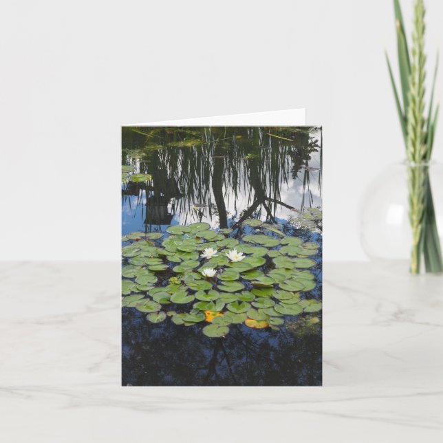 Garden Park Reflecting Lilies Tarjeta de felicitac (Anverso)