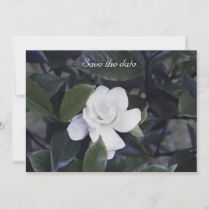 Gardenia Floral Guardar la tarjeta de fecha