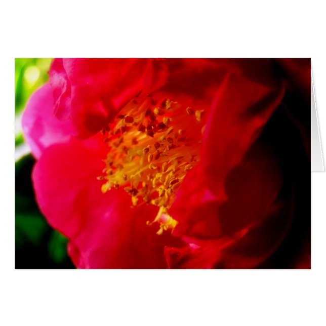 Gardenia Love Card (Anverso (Horizontal))