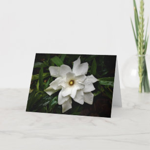 Gardenia, tarjeta